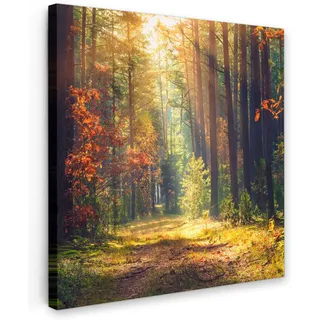 MuchoWow Leinwandbild Wald - Herbst - Bäume Deko Groß 90x90 cm , Dunkelgrün , Textil , Kiefer , Abstrakt , Quadratisch , 90x90 cm , FSC 100% , gerahmt , Bilder & Rahmen, Bilder, Leinwandbilder