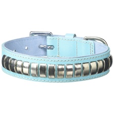 BBD Pet Products Gewölbtes Lederhalsband, Einheitsgröße, 1/4 x 16 bis 48 cm, Blau