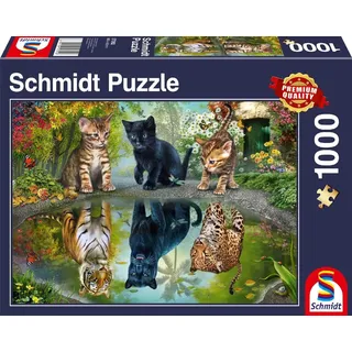 Schmidt Spiele Dream Big! 1000 Teile