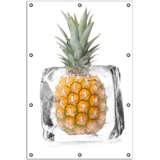 Wallario Outdoor-Poster für Garten oder Balkon, Motiv Ananas in Eiswürfel - Eiskaltes Obst, in ca. 80 x 120 cm - Weiß