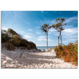 Artland Glasbild »Weststrand Darss« Strand 1 Stk. tlg. in verschiedenen Größen, blau