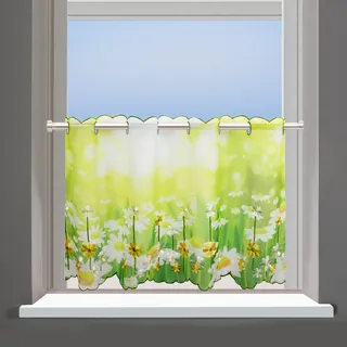 Delindo Lifestyle Margeriten Stangendurchzug 85 x 45 cm grün