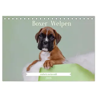 Boxer Welpen einfach zuckersüß (Tischkalender 2026 DIN A5 quer), CALVENDO Monatskalender: Lass dich von den süßesten Boxerwelpen verzaubern, die mit ... dein Herz erobern. (CALVENDO Tiere)