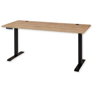 Schreibtisch höhenverstellbar elektrisch in Altesche furniert FSC-Zertifiziert - Verstellbarer Bürotisch mit digitaler Höhenanzeige & Memory Funktion - 160 x 72-120 x 77 cm (B/H/T)