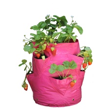 Haxnicks Pflanzbeutel für Gemüse, rose, 35x35x45 cm