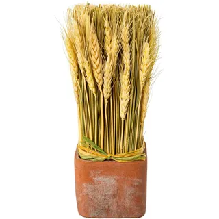 Creativ home Trockenblume "Trockenblumen imTopf", rosa