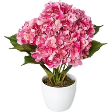 Bild Kunstpflanze »Hortensie«, im Keramiktopf, pink