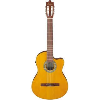 IBANEZ GA3ECE-OAM Open Pore Amber