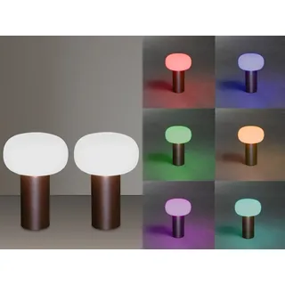 Tischlampe ohne Kabel & Strom per USB aufladbar, Stimmungslicht Balkon Lampe