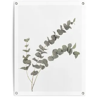 Poster REINDERS "Eukalyptus", grün (farbe bild(er): grün), B:60cm H:80cm T:0,1cm, Leinwand, Bilder, Poster, Outdoor für Garten oder Balkon