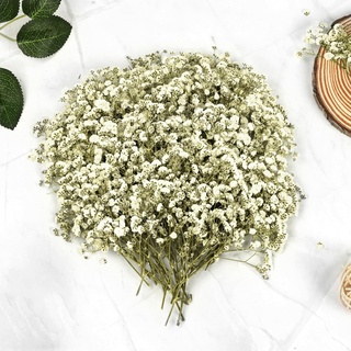 Getrocknete Blumen, 145 Stück DIY Gepresste Blumen, Baby's Breath Blumen, Trockenblumen zum Basteln, Trockenblumen Set für DIY Kerzen Harz Schmuck Anhänger Scrapbooking Nagel Blumen Dekoration