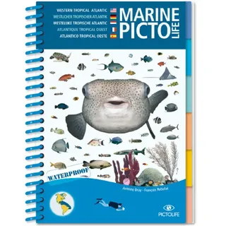 Pictolife Caribean Marine Führer - One Size