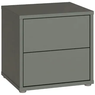 Forte Nachtschrank Alice Springs 49,8 x 41,5 x 47,9 cm Salbei
