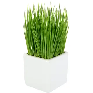 Künstliches Topf aus Keramik Kunst-Gras Grünpflanze Kunstpflanze Kunstgras Dekogras Grasbusch Schnittlauch Gartenkräuter Kräuter Ziergras, Kunststoff, grün, 9x9x22 cm