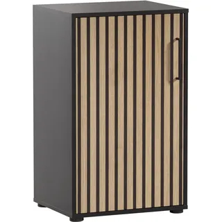 WELLTIME Hank Aktenschrank 51 x 41 x 83,6 cm schwarz