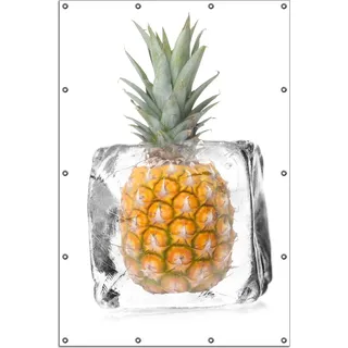 Wallario Outdoor-Poster für Garten oder Balkon, Motiv Ananas in Eiswürfel - Eiskaltes Obst, in ca. 120 x 180 cm - Weiß