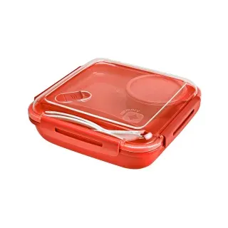 Rotho Lunchbox rot 19,5 x 19,5 x 6,5 cm 1,1 l