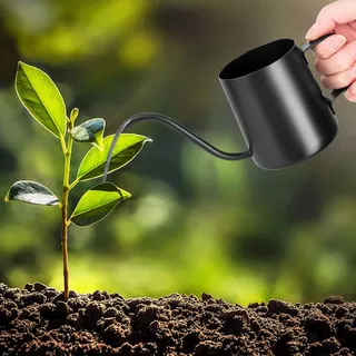 Norhogo 350ML Schwarz Gießkanne Klein Zimmerpflanzen, Mini Gießkanne, Edelstahl, rostfrei, mit langem Schwanenhals-Ausguss, Garten Gießkanne für Zimmerpflanzen Sukkulenten