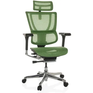 HJH Office Bürostuhl ergonomisch ERGOHUMAN Slim GEN2 Originales Design, Drehstuhl mit Flexibler Lordosenstütze, Netz Grün