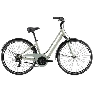 Liv Flourish Fs 3 2024 Fahrrad - Desert Sage - M