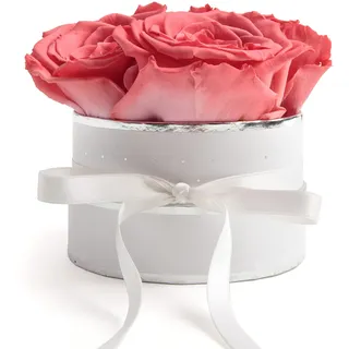ROSEMARIE SCHULZ Heidelberg Rosenbox rund Infinity Rosen Korall-Rot - Blumenbox in Weiß 4 mal ewige Rose haltbar 3 Jahre - Geschenk für Mutter und Geschenke für Frauen (Small, Korall)