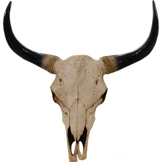 MCW MCW, Wanddeko, T454-45