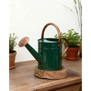 Bamworld Gießkanne Zimmerpflanzen 1,9L (1/2 Gallone) aus Verzinktem Stahl, Kleine Gießkanne mit Langer Tülle für Haus & Garten, Vintage Design Blumengießer - Dunkelgrün