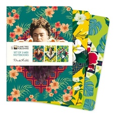 Bild Dreier Set Mittelformat-Notizbücher: Frida Kahlo