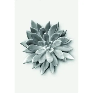 KOMAR Succulent Agave 50 x 70 cm