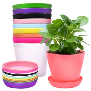 Cisolen 10 Stück Bunte Plastik Blumentöpfe Mini Pflanztöpfe Kunststoff mit Abtropfschalen für Sämlinge Miniaturpflanzen für Garten Büro Balkon Dekoration 10 Farben