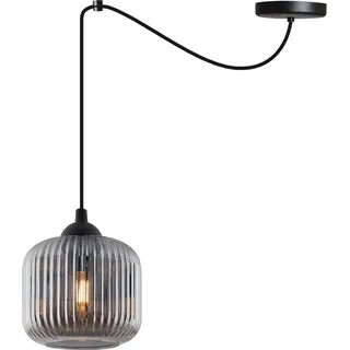 Hängelampe RIFFLE Spinne Schwarz 1-flammig Glas Zylinder Grau E27