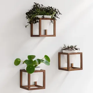 Kazai. Wandvasen -Lille- | Hängende Blumentöpfe in Echtholzrahmen | 3-teiliges Übertopf-Set aus Keramik und Holz für Wand, Tisch und mehr | Walnuss-Braun