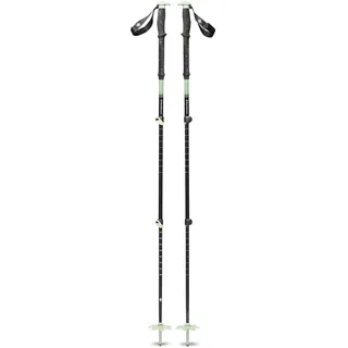 Black Diamond Expedition 3 Ski Poles desert sage (3057) 125
