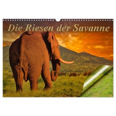 Die Riesen der Savanne (Wandkalender 2024 DIN A3 quer), CALVENDO Monatskalender