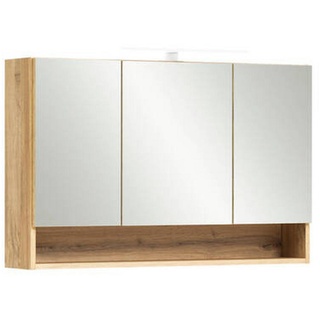 Xora Spiegelschrank , Metall , 6 Fächer , 100x64x20 cm , Made in Germany , Badezimmer, Badmöbelsets & -serien, Badmöbelserien