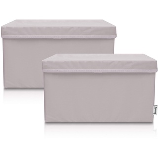 Lifeney 2-Set Aufbewahrungsbox Kinder (37x25x21cm) I Aufbewahrungskorb für Kinderzimmer und Wohnbereich I Kinder Aufbewahrungskiste (Hellgrau)