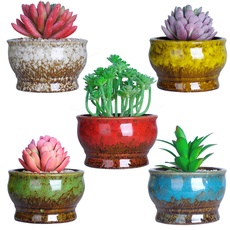 ARTKETTY 11 cm Moderne Keramik Sukkulente Pflanzgefäße Kaktus Töpfe Mit Drainageloch Mini Glasiert Blumenpflanze Containers winzige Töpfe Für Miniaturpflanzen 5er-Set