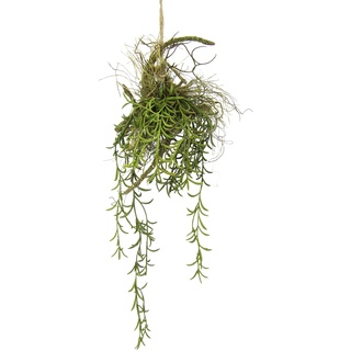 Flair Flower Tillandsia Hänger auf Ast Künstlicher Moos Hänger Hängeampel Grünpflanze Kunstpflanze Pflanze Zimmerpflanze Seidenblumen Dekopflanze Deko Isländischer Kunstmoos Hängende Girlande Busch Sträucher