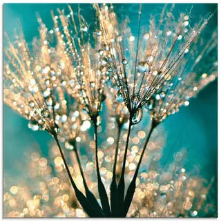 Artland Glasbild »Pusteblume Schirmchen abstrakt« Blumen 1 Stk. tlg. in verschiedenen Größen, blau