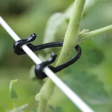 100 Pflanzenclips Pflanzenbefestigungshalterung,Grapevine Verschluss Bandage Haken Haken Pflanze Gemüse Pfropfclip landwirtschaftlichen Gewächshaus Lieferungen Stabile Clips zum Klettern