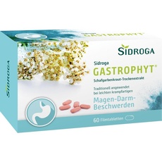 Bild GastroPhyt 250 mg Filmtabletten