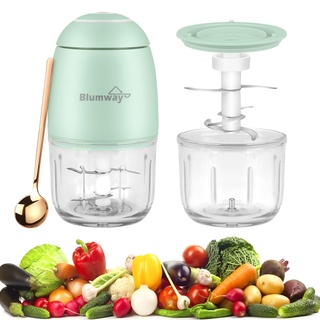 BlumWay 300ML Elektrischer Mini Food Chopper, 60W Kabelloser Knoblauchpressenhacker, Knoblauchmixer für Gemüse, Obst, Zwiebeln, Chili, Fleisch, Salat, Babynahrung, Glasbehälter (Grün)