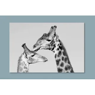 Glasbild , Schwarz, Weiß , Glas , 80x0.4x120 cm , Bilder & Rahmen, Bilder, Glasbilder