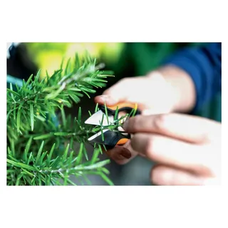 Kräuterschere, Länge: 12,9 cm, Klingen aus rostfreiem Stahl/Kunststoff-Griffe, Schwarz/Orange
