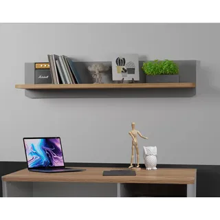 Forte SURFINIO Wandboard 20 30, modernes Wandpaneel, Dekoregal, Wohnzimmerregal, Holzwerkstoff, Grau/Catania Eiche Holzdekor, 110 cm breit x 22,8 cm hoch x 21,9 cm tief