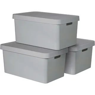 Curver Aufbewahrungsbox INFINITY 56,5 x 27 x 39 cm 3-tlg. grau