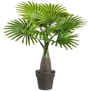 Creativ green "Palme Mini", grün,