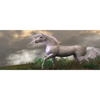 Tulup® Küchenrückwand Spritzschutz aus Glas -125x50 -Spritzschutz auf gehärtetes Glas Deko Tiere Graues Einhorn