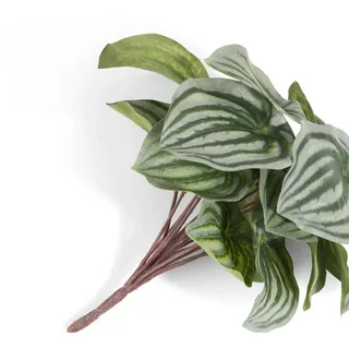 Coco Maison Peperomia Bush H25cm Kunstblume