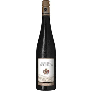 Riesling Schlossberg GG Schloss Vollrads 2023